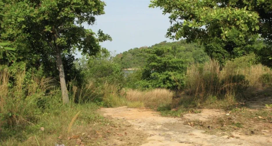 For sale land in Ko Yao, Phang Nga