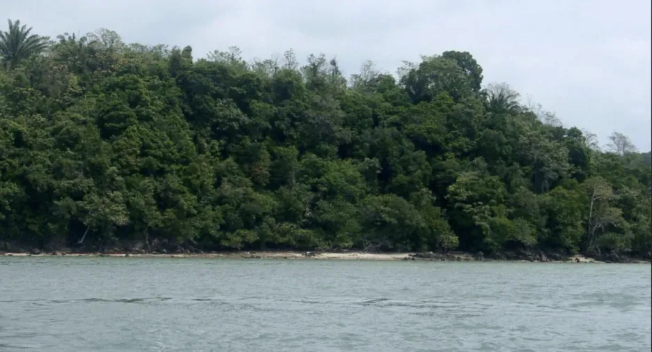 For sale land in Ko Yao, Phang Nga