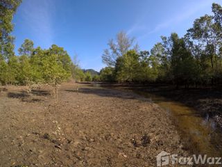 For sale land in Khura Buri, Phang Nga