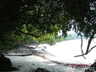 For sale land in Ko Yao, Phang Nga