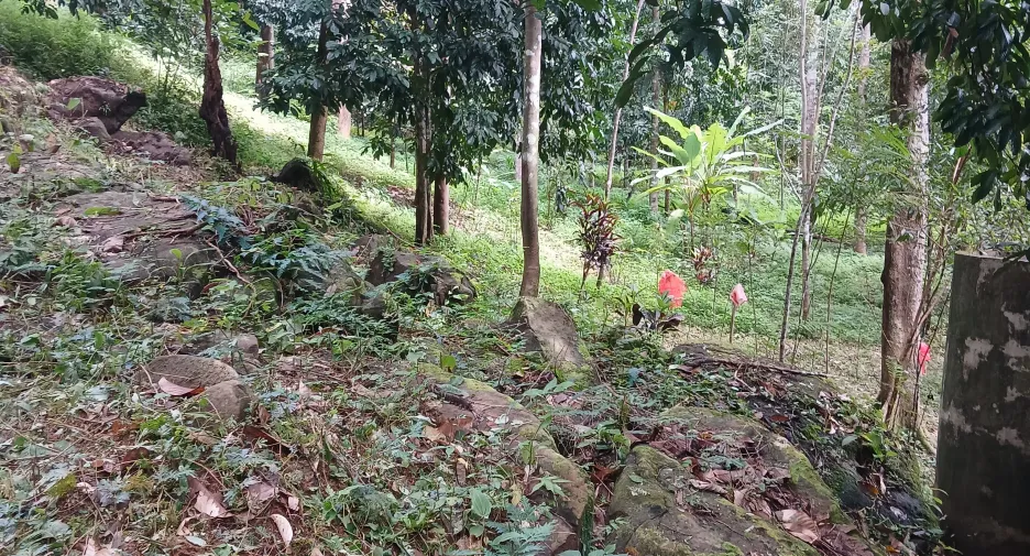 For sale land in Mueang Phangnga, Phang Nga