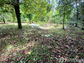 Terreno en venta en Mueang Phangnga, Phang Nga