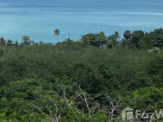 For sale land in Ko Yao, Phang Nga