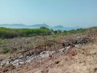 For sale land in Ko Yao, Phang Nga