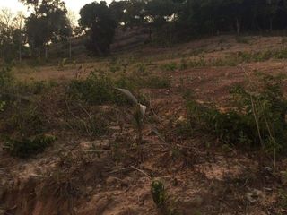 For sale land in Ko Yao, Phang Nga