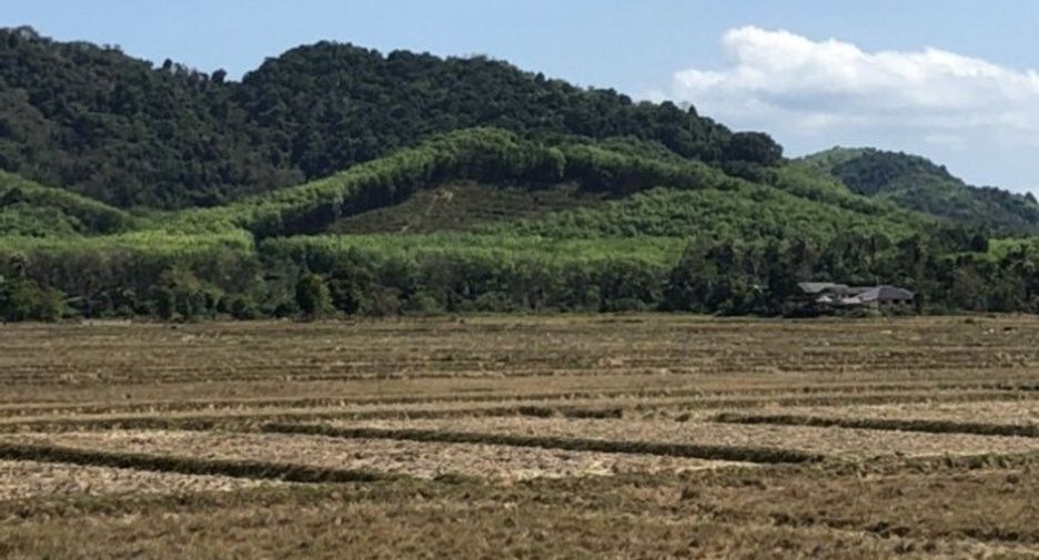 For sale land in Ko Yao, Phang Nga