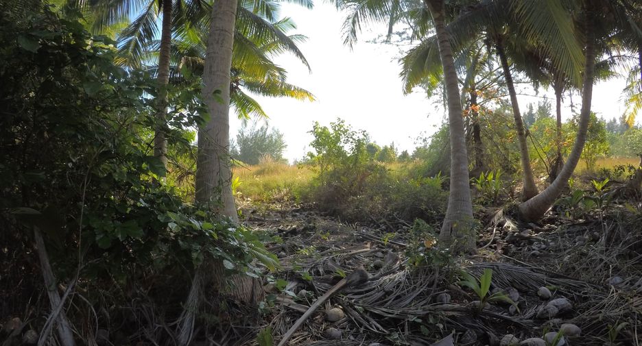 For sale land in Khura Buri, Phang Nga