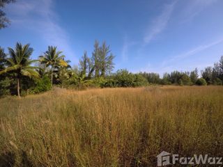 For sale land in Khura Buri, Phang Nga