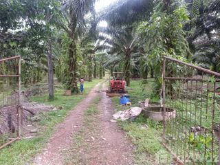 For sale land in Khura Buri, Phang Nga