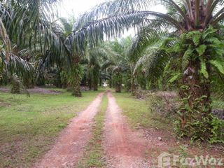 For sale land in Khura Buri, Phang Nga