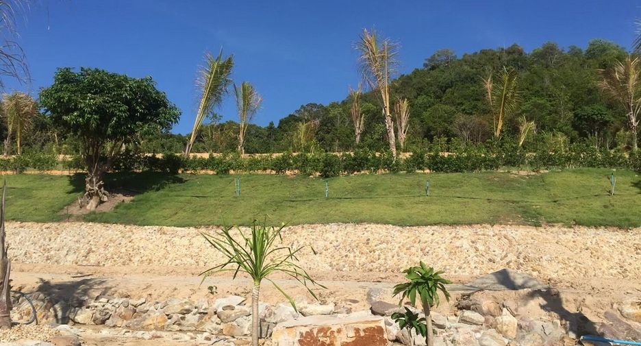 For sale land in Ko Yao, Phang Nga