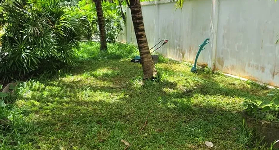 For sale 3 bedrooms house in Takua Thung, Phang Nga