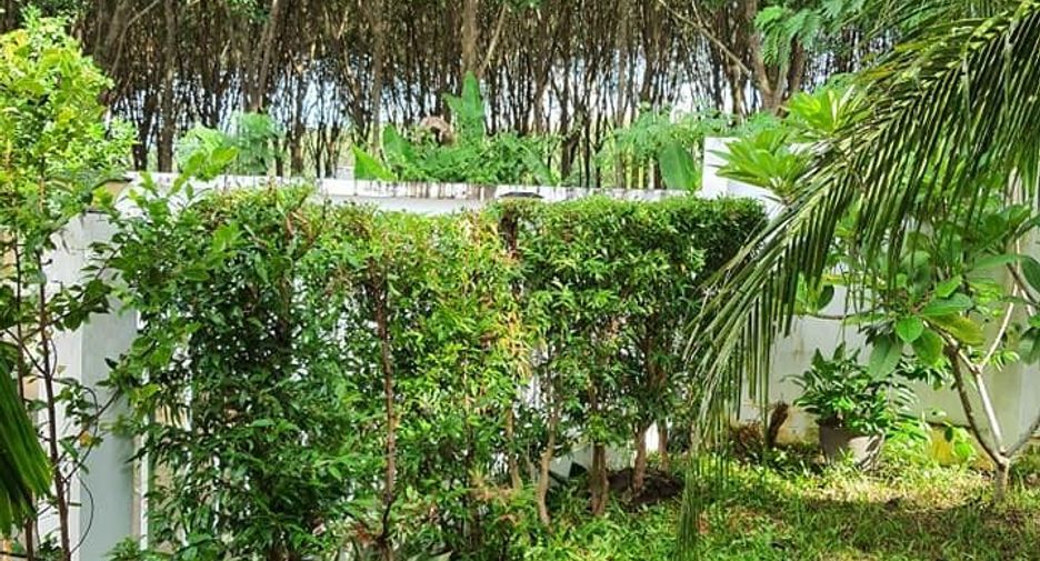 For sale 3 bedrooms house in Takua Thung, Phang Nga