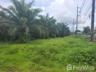 ขาย ที่ดิน ใน เมืองพังงา, พังงา