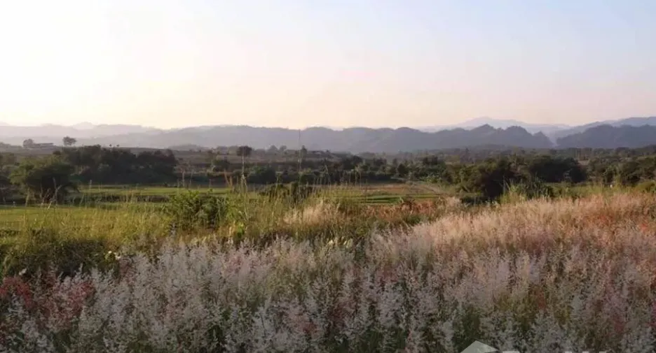Grundstück zum Kauf in Mae Chan, Chiang Rai