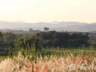 For sale land in Mae Chan, Chiang Rai