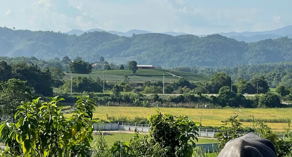 Grundstück zum Kauf in Mae Chan, Chiang Rai