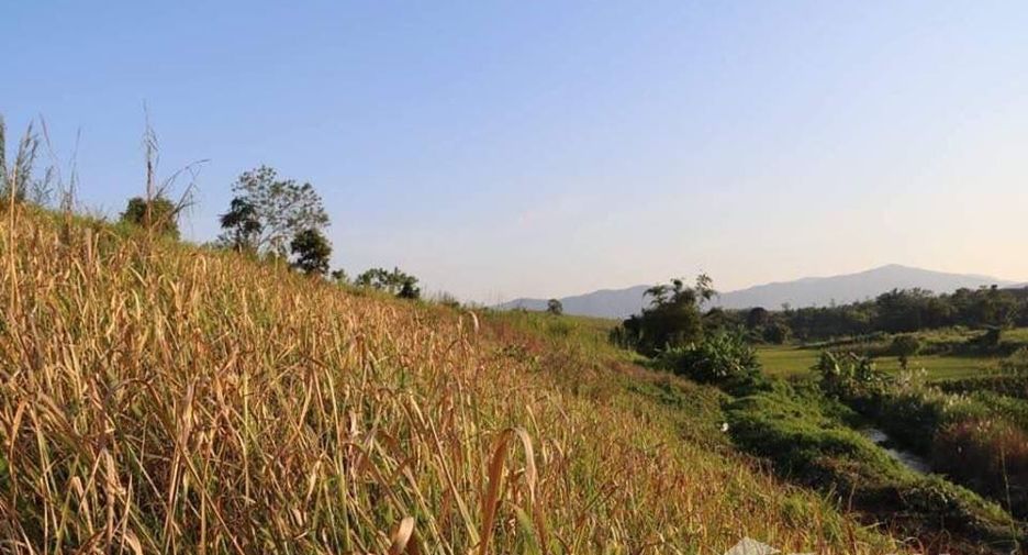 Terreno en venta en Mae Chan, Chiang Rai