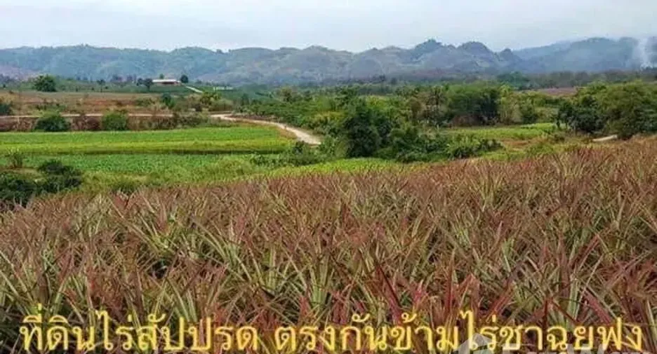 Grundstück zum Kauf in Mae Chan, Chiang Rai