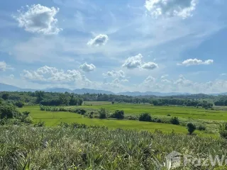 For sale land in Mae Chan, Chiang Rai