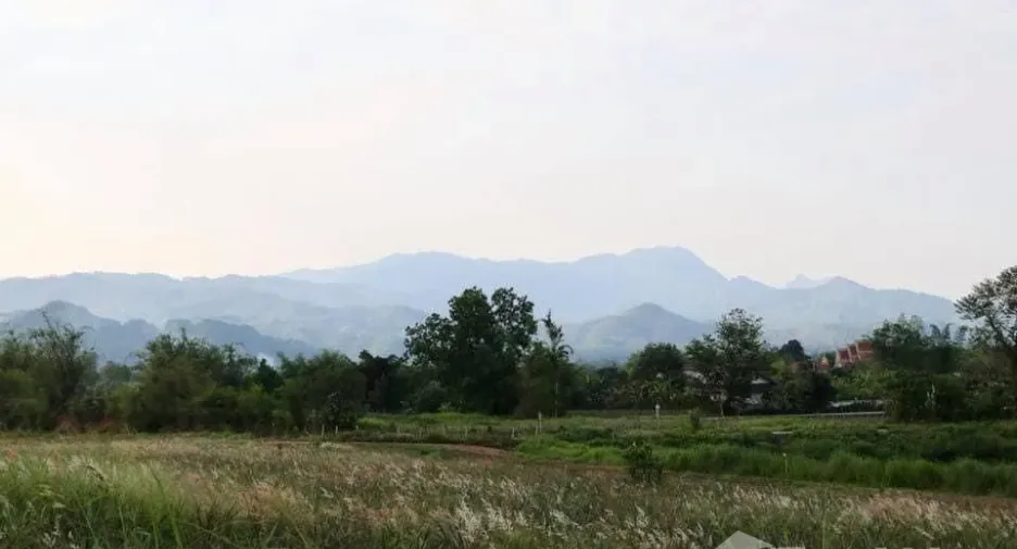 Grundstück zum Kauf in Mae Chan, Chiang Rai