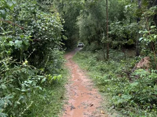 出售 土地 在 Kanthararom, Si Sa Ket