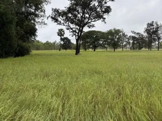 出售 土地 在 Kanthararom, Si Sa Ket