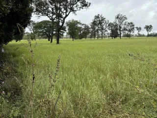 出售 土地 在 Kanthararom, Si Sa Ket