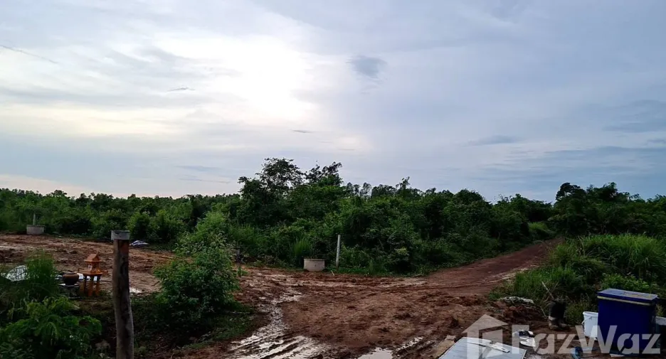 For sale land in Wanon Niwat, Sakon Nakhon