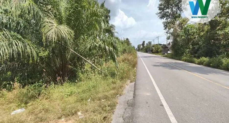 For sale land in Pa Phayom, Phatthalung