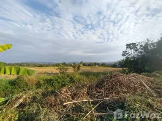 Продажа Участок в Mae Lao, Чианг Рай