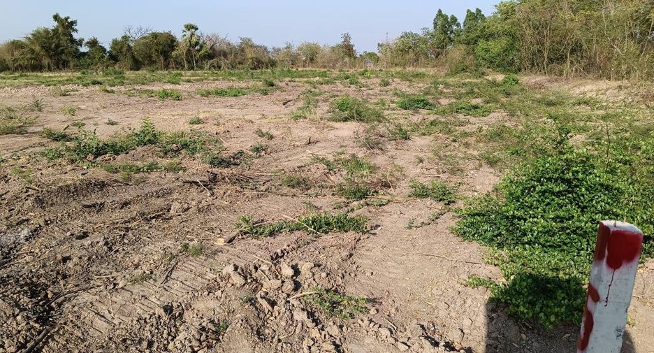 For sale land in Hankha, Chainat