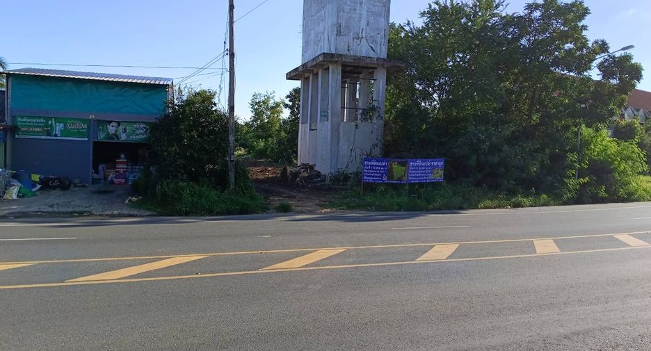 For sale land in Hankha, Chainat