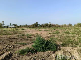 出售 土地 在 Hankha, Chai Nat