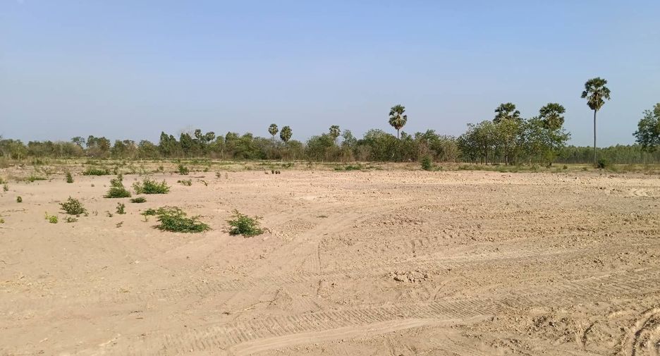 For sale land in Hankha, Chainat