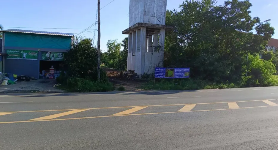 For sale land in Hankha, Chainat