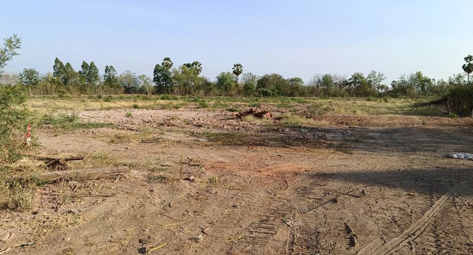 For sale land in Hankha, Chainat