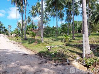 For sale land in Khanom, Nakhon Si Thammarat
