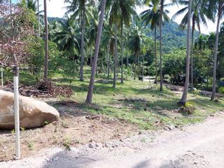 For sale land in Khanom, Nakhon Si Thammarat