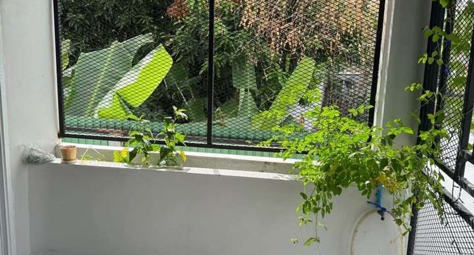 出售 和 出租 4 卧室 联排别墅 在 Suan Luang, 曼谷