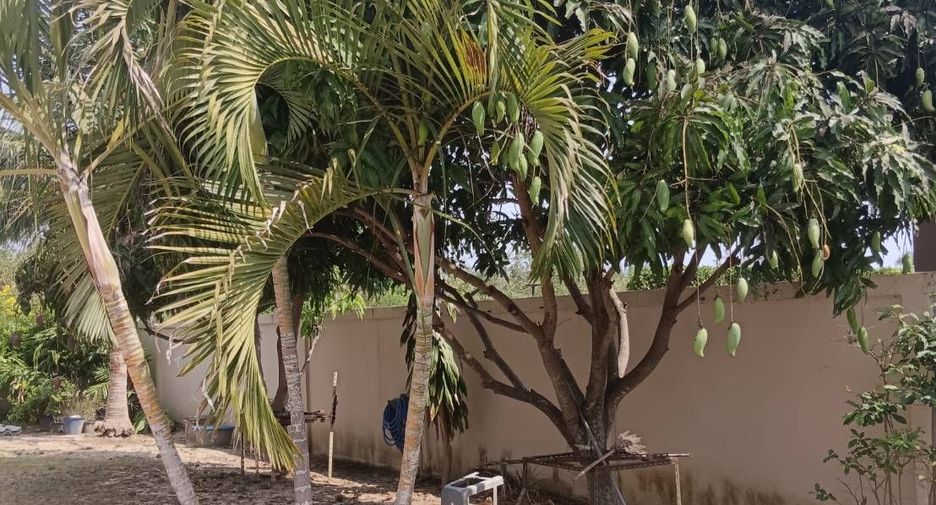 For sale and for rent 3 bedrooms house in Hua Hin, Prachuap Khiri Khan