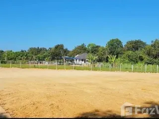 出售 土地 在 Mae Taeng, Chiang Mai