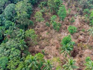 For sale land in Ko Samui, Surat Thani