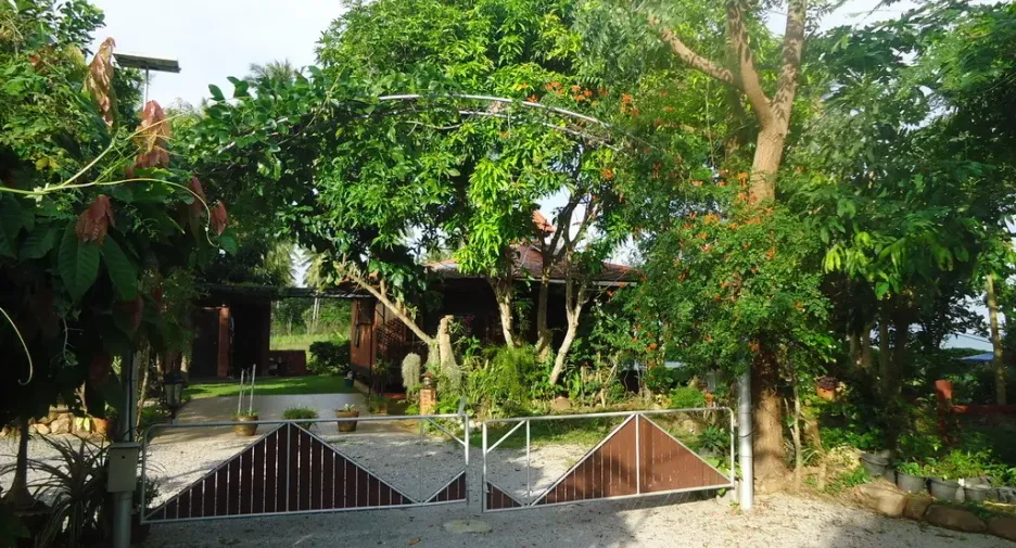 For sale land in Bang Saphan, Prachuap Khiri Khan