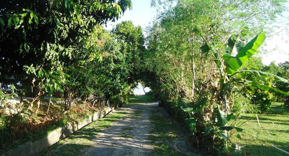 For sale land in Bang Saphan, Prachuap Khiri Khan