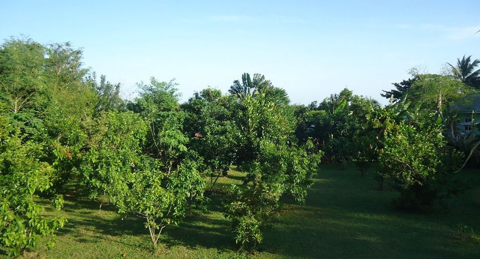 For sale land in Bang Saphan, Prachuap Khiri Khan