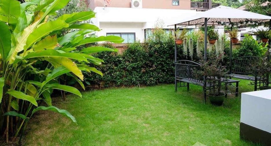 For sale and for rent 3 bedrooms house in San Sai, Chiang Mai