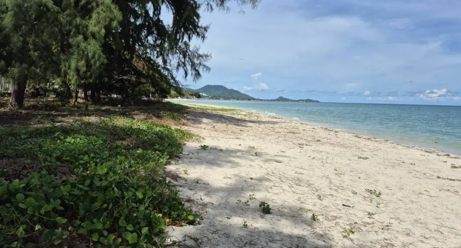 Grundstück zum Kauf in Ko Samui, Surat Thani