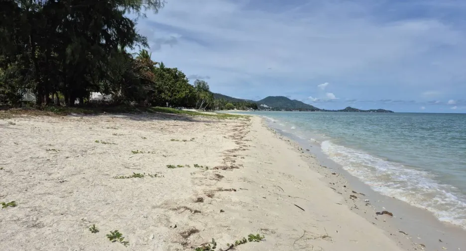 Grundstück zum Kauf in Ko Samui, Surat Thani