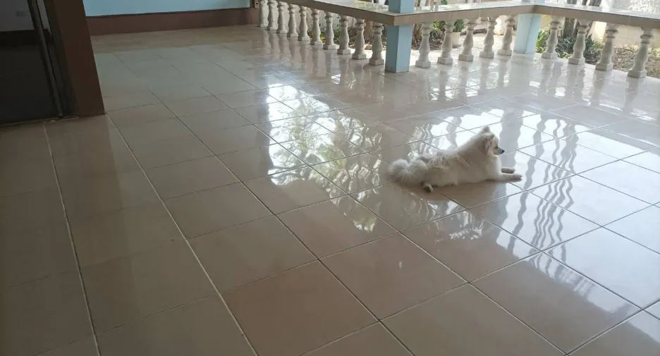 For rent 4 bedrooms house in Mueang Chiang Mai, Chiang Mai